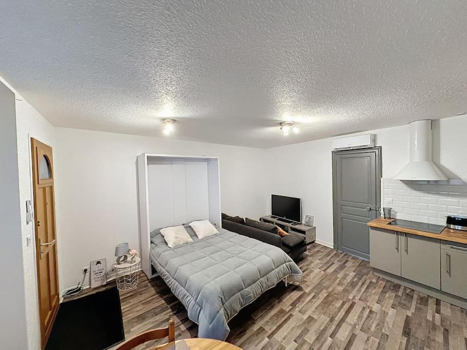 T2 Centre Appartement Lourdes
